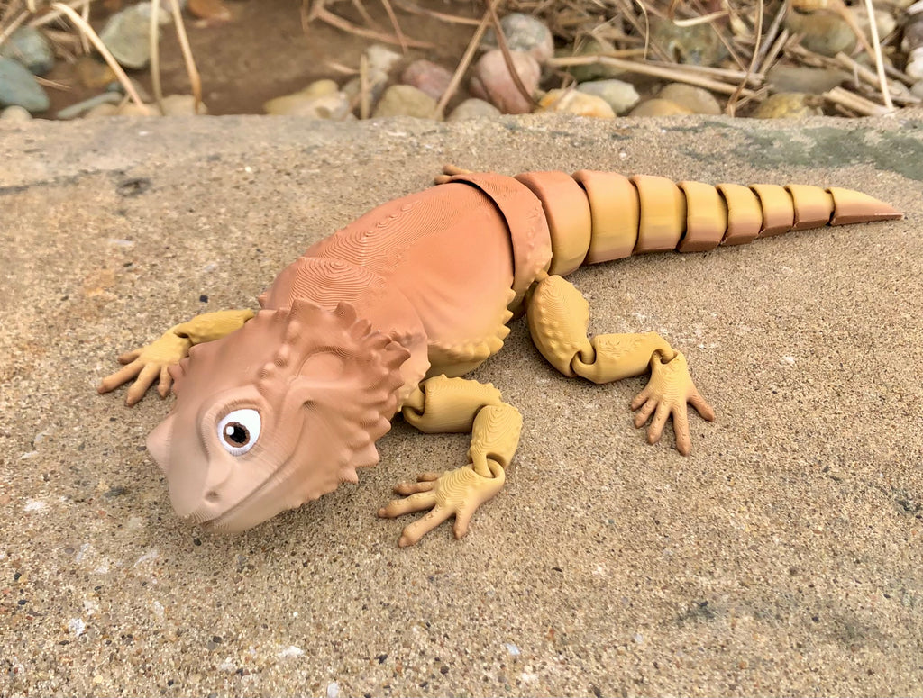 Bearded Dragon Lizard