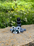 Raccoon