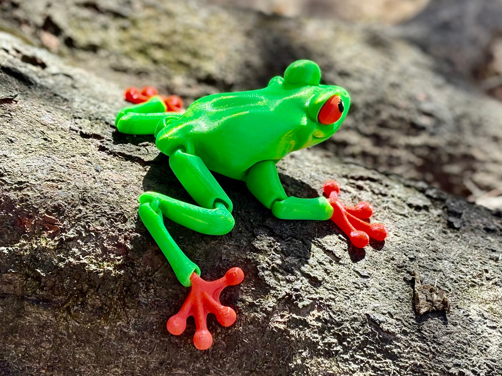 Red-Eyed Tree Frog