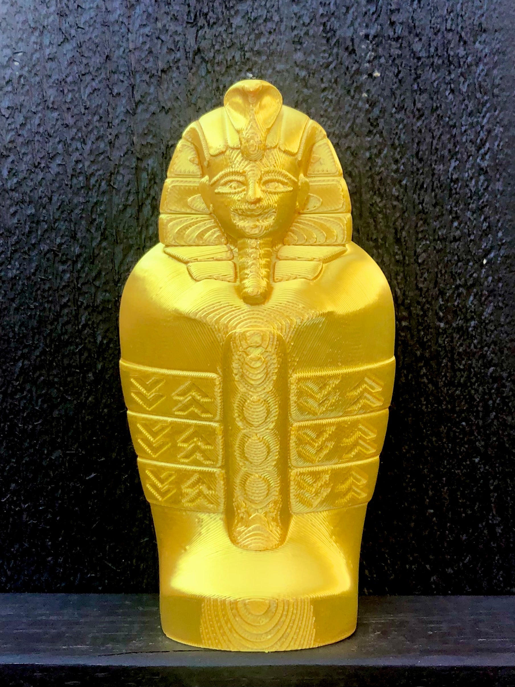 Flexible Mummy and Sarcophagus set