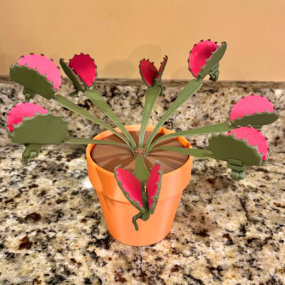 Venus Flytrap Chip Clip Plant