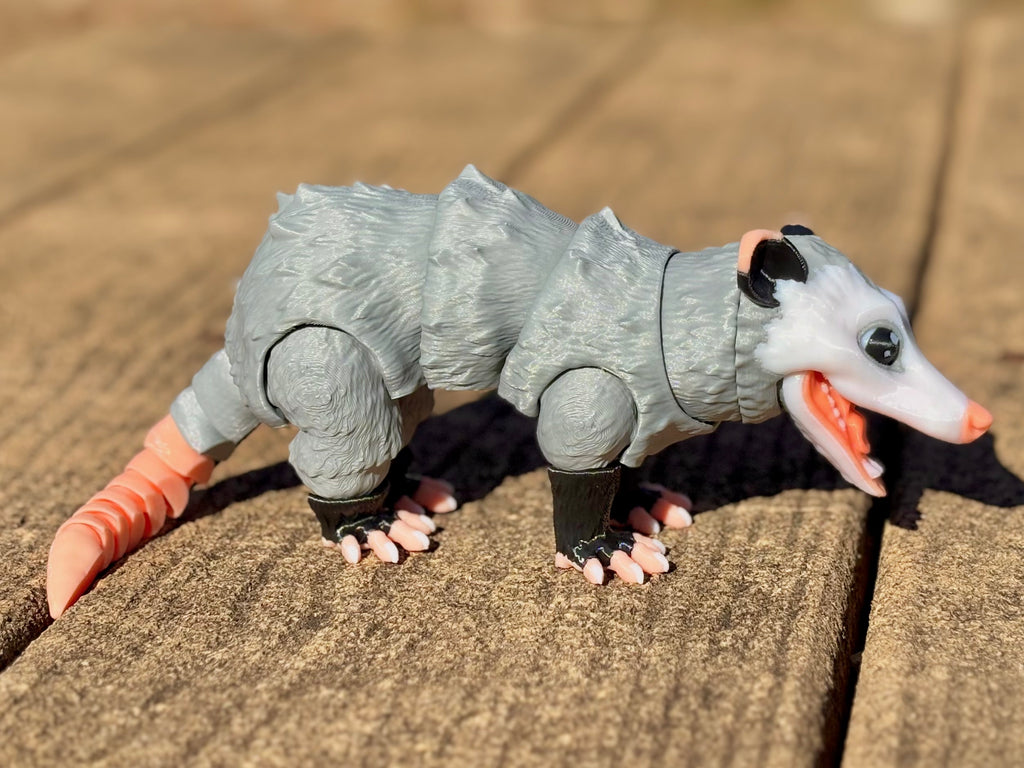Opossum