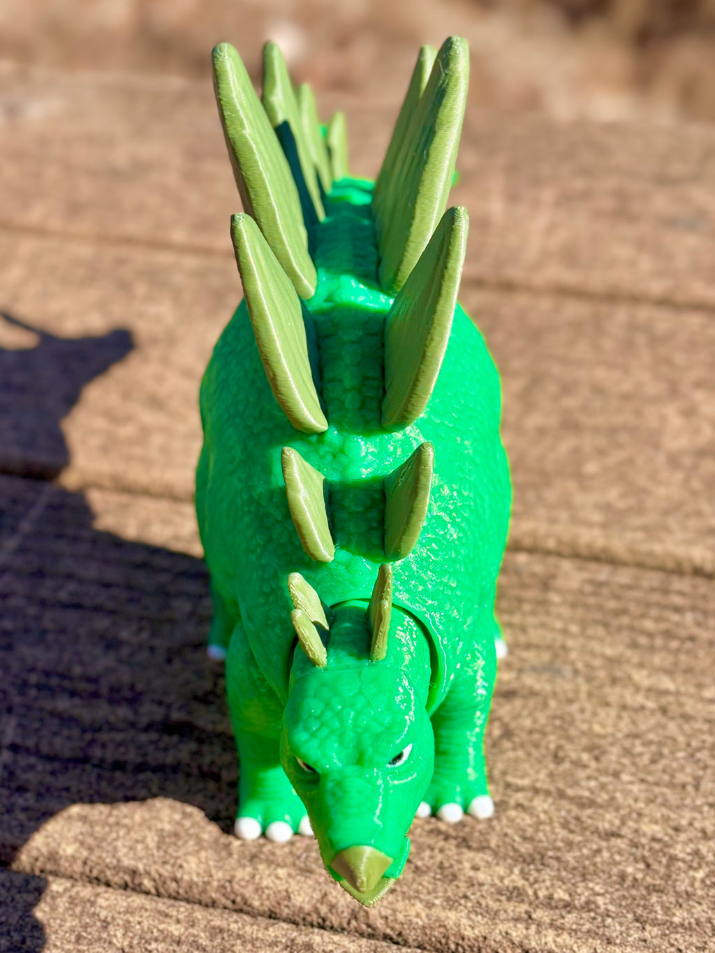 Stegosaurus