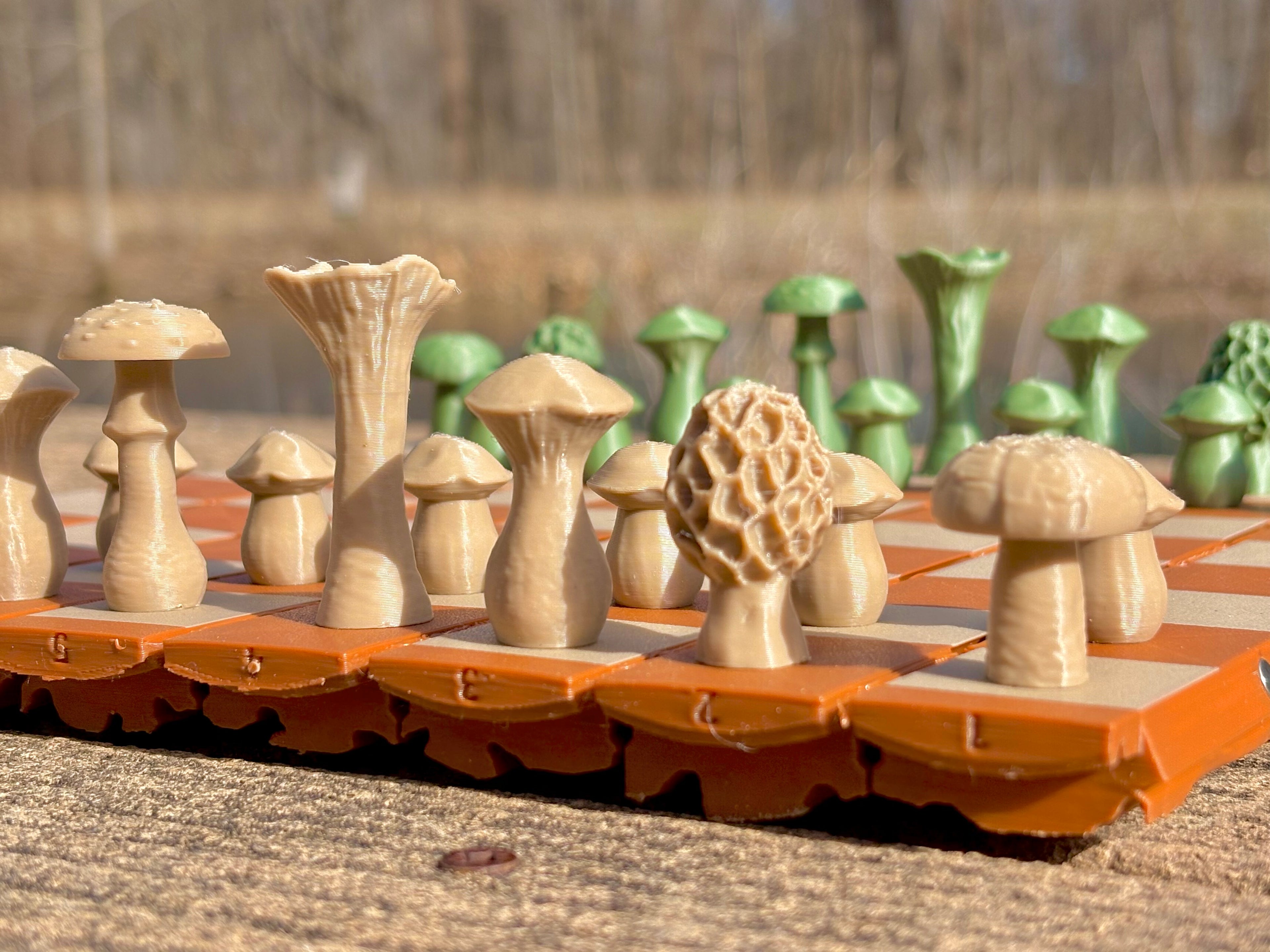 Forest Chess & Checkers Set