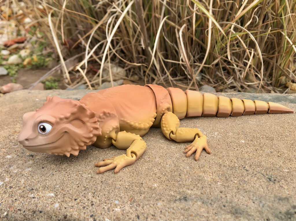 Bearded Dragon Lizard