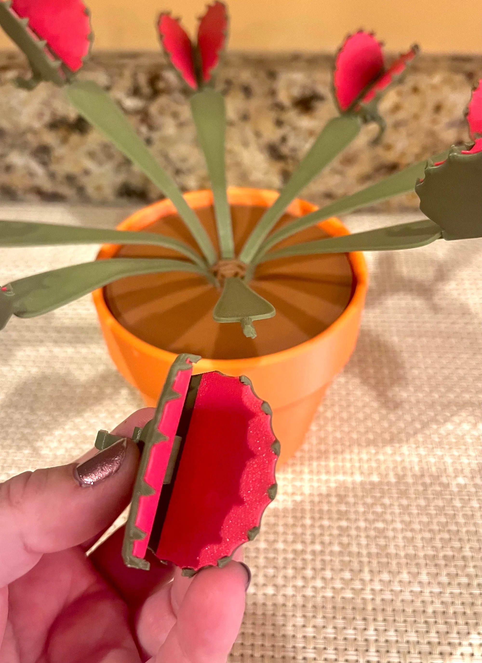 Venus Flytrap Chip Clip Plant