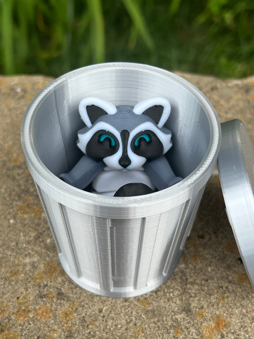 Raccoon