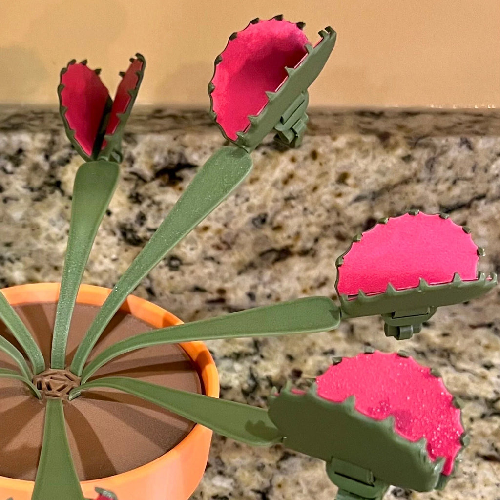 Venus Flytrap Chip Clip Plant