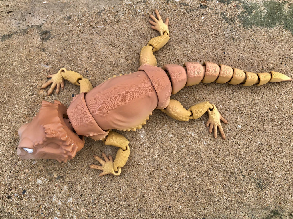 Bearded Dragon Lizard