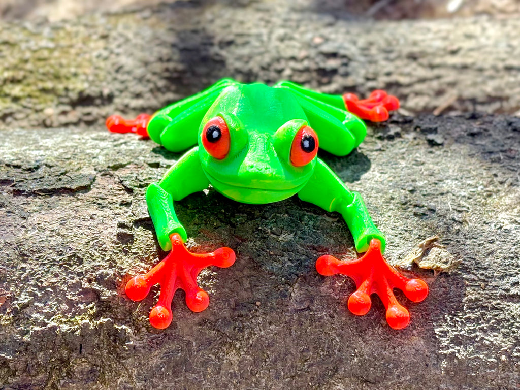 Red-Eyed Tree Frog