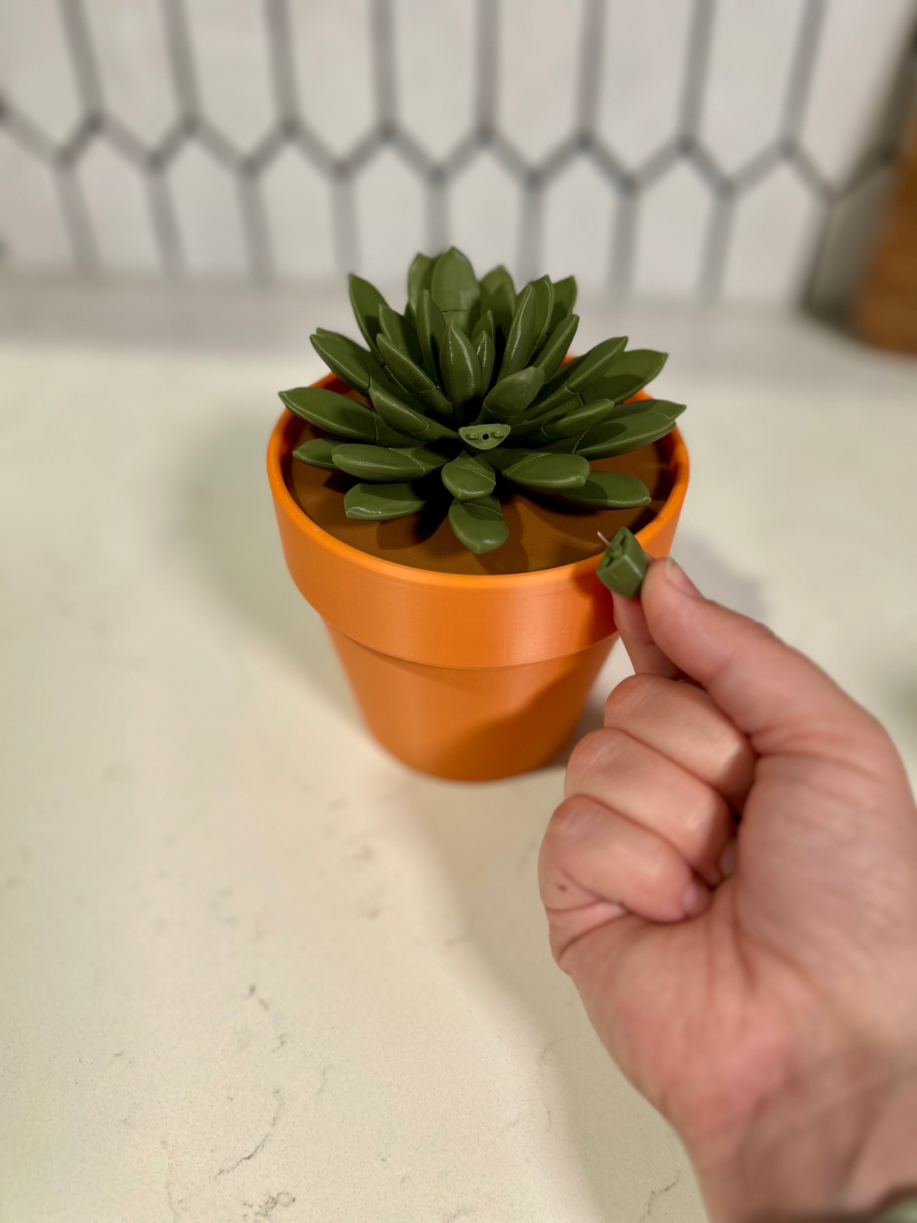 Push Pin Succlent Plant 3D Printed | Home &amp; Office Functional Decor