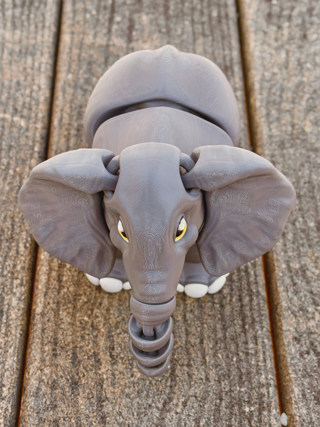 Elephant