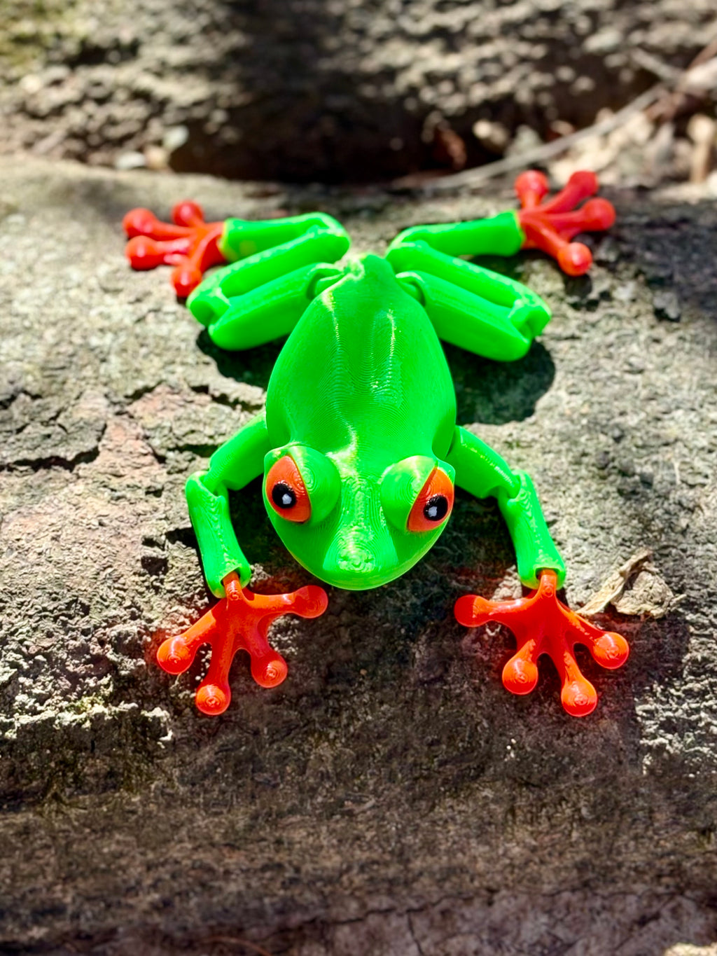 Red-Eyed Tree Frog