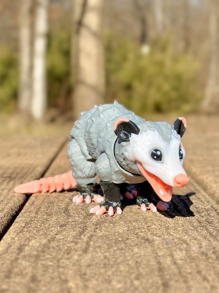 Opossum