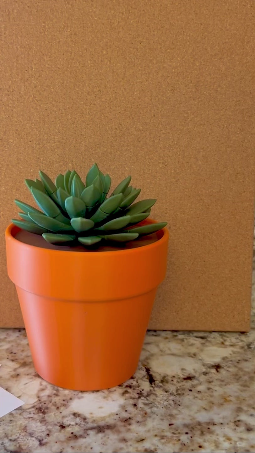 Push Pin Succlent Plant 3D Printed | Home &amp; Office Functional Decor