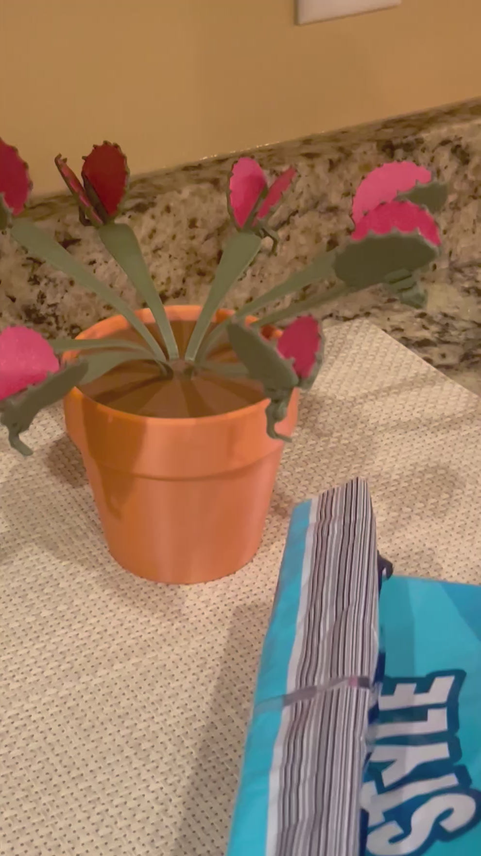 Venus Flytrap Chip Clip Plant